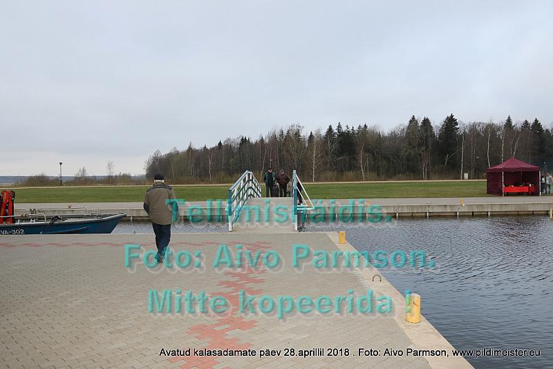 Avatud 013