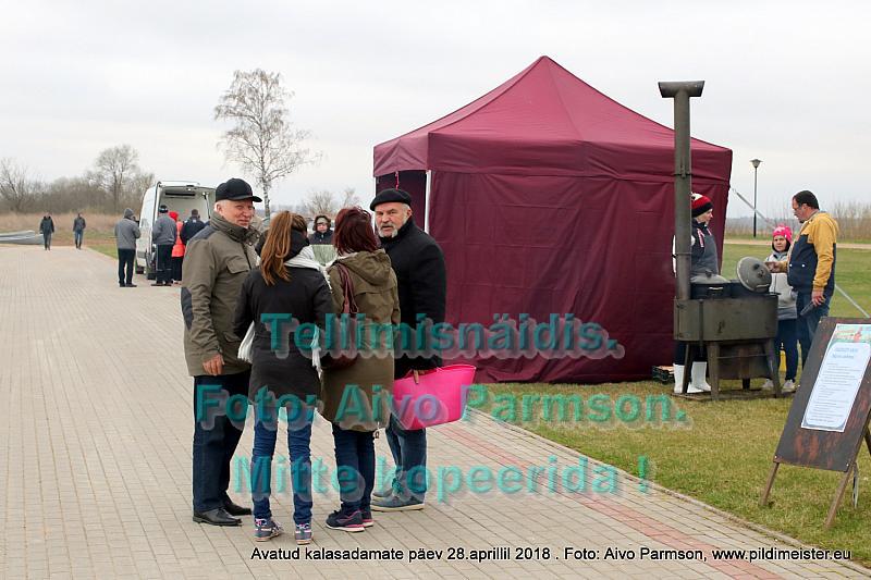 Avatud 023