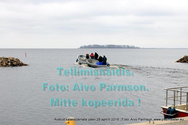 Avatud 064