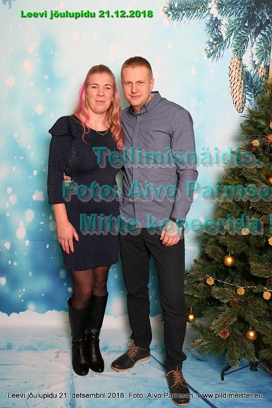 Leevi 013