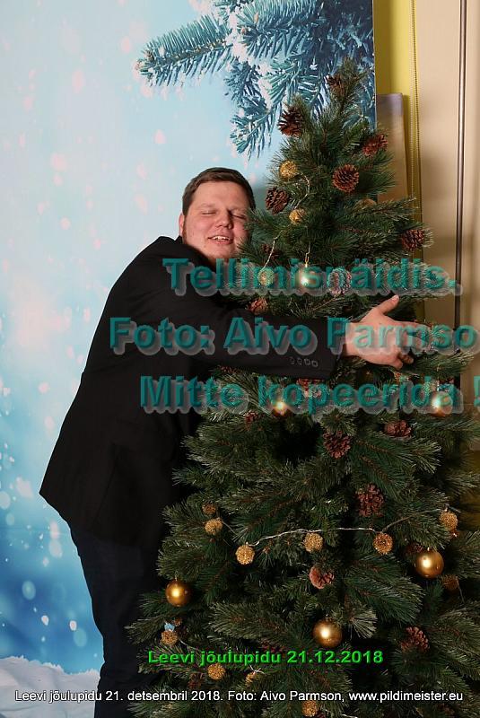 Leevi 123