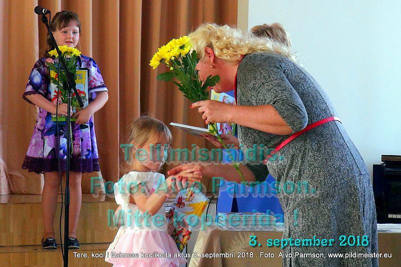 Tere (49)