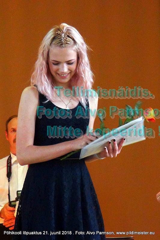 VIdeo (16)