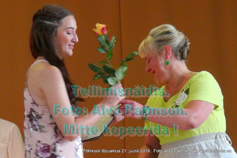 VIdeo (33)