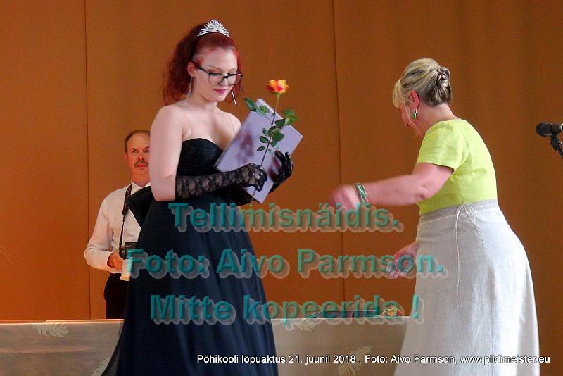 VIdeo (42)