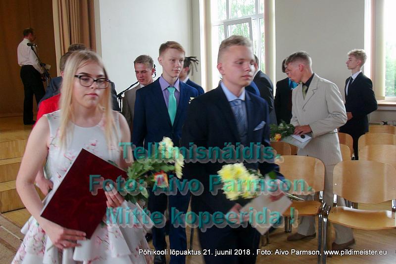 VIdeo (52)