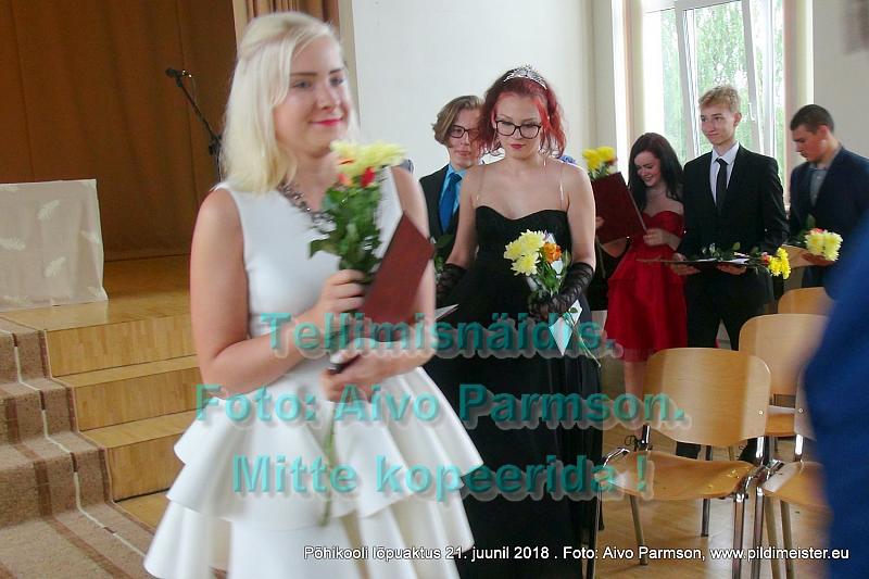 VIdeo (53)