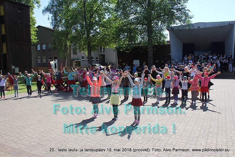 IMG 2919