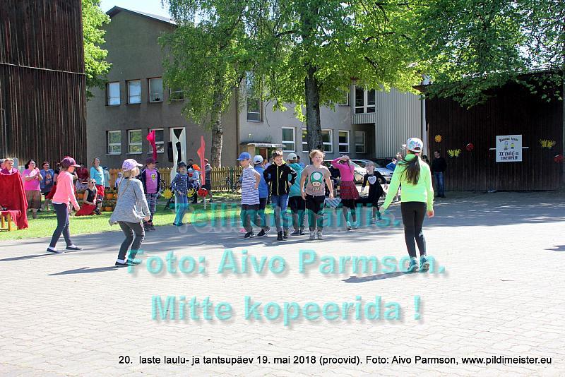 IMG 2961