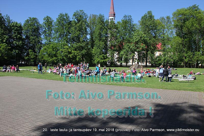 IMG 3019