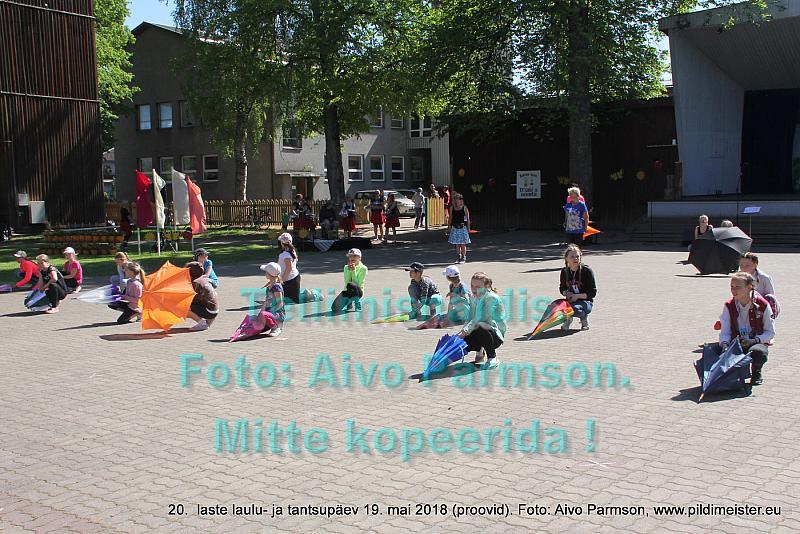 IMG 3052