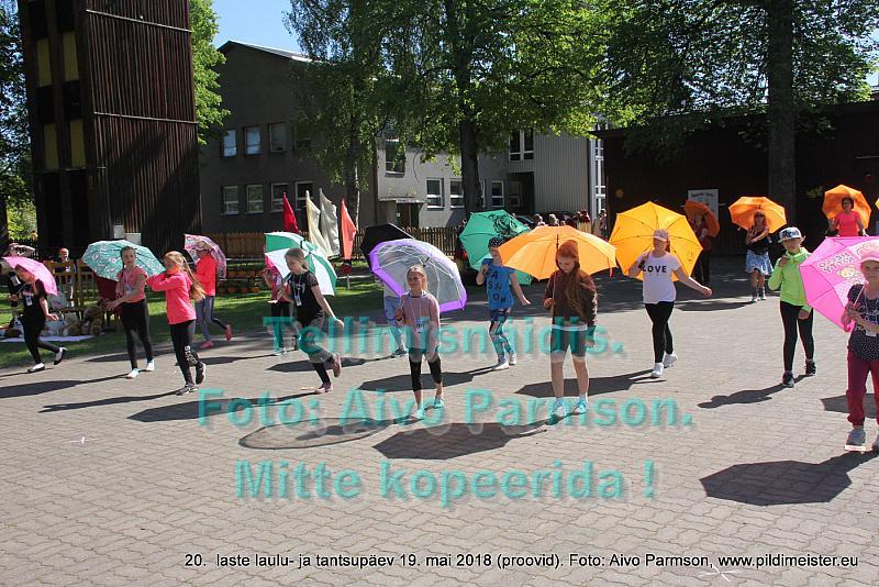 IMG 3058