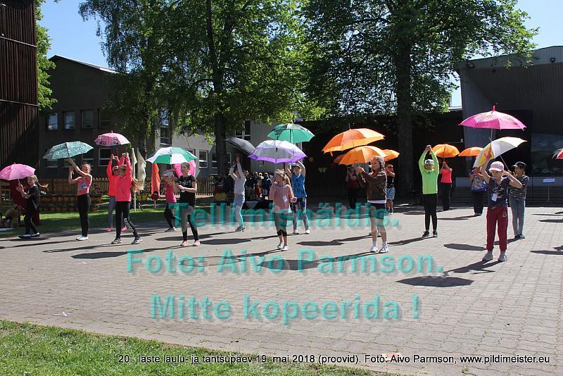 IMG 3068