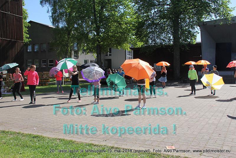 IMG 3072