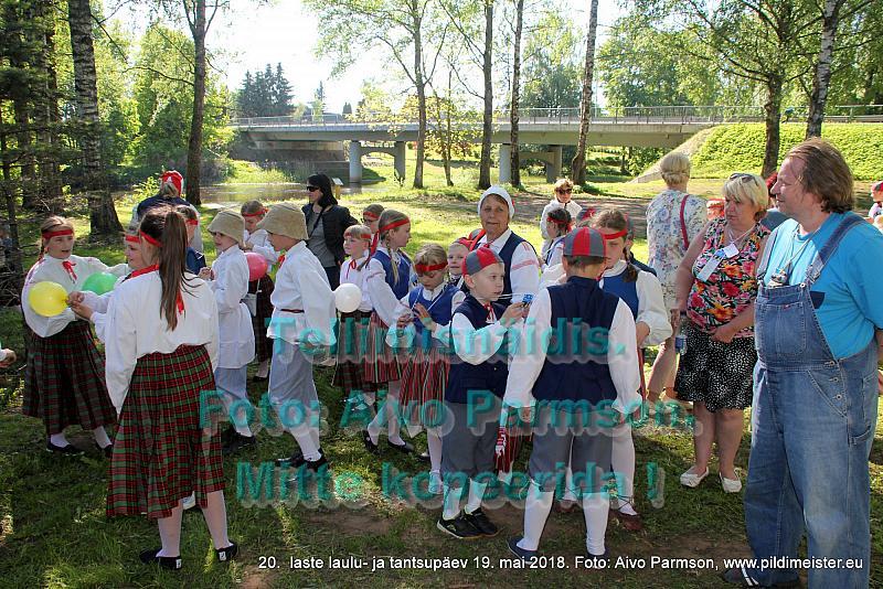 IMG 3157