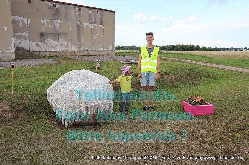 Linte 067