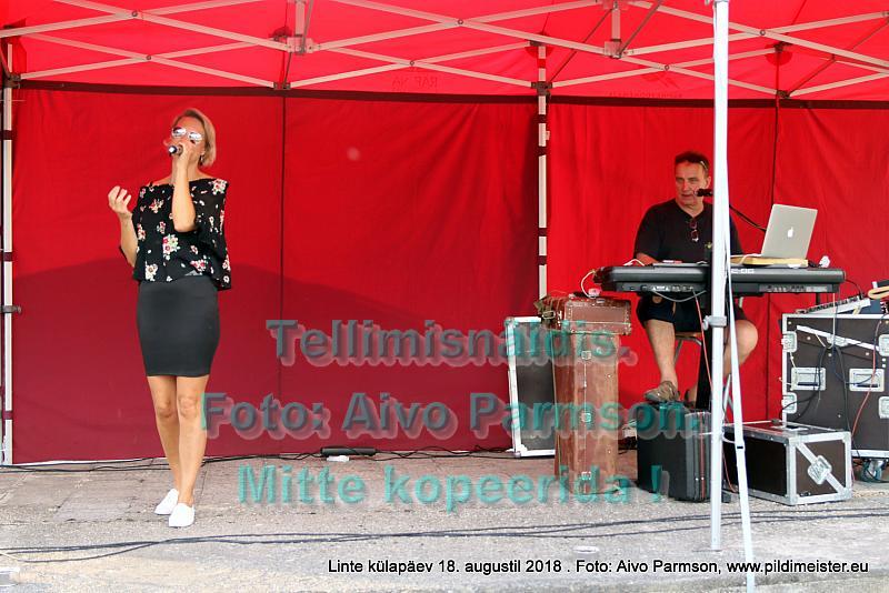 Linte 095
