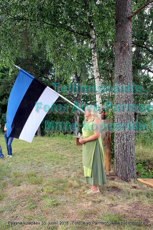 Pääsna 012
