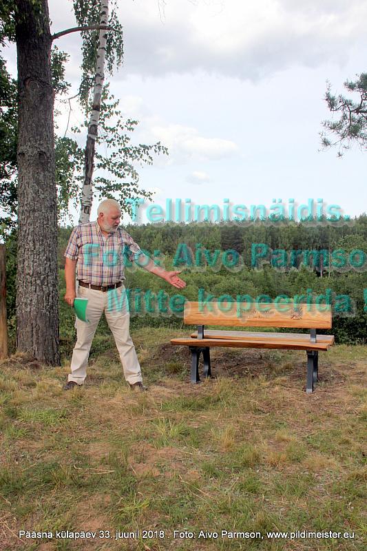 Pääsna 013