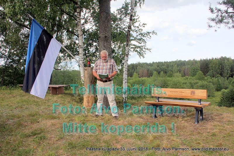 Pääsna 014