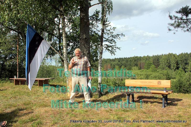 Pääsna 016