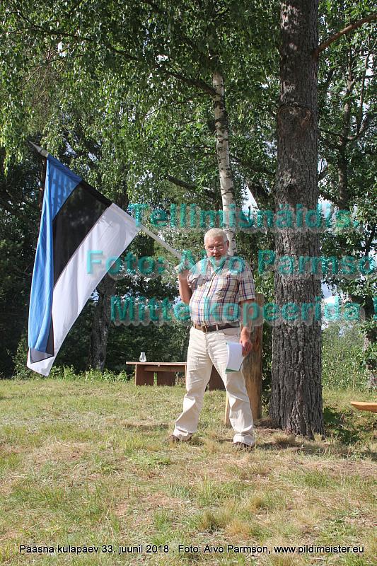 Pääsna 017