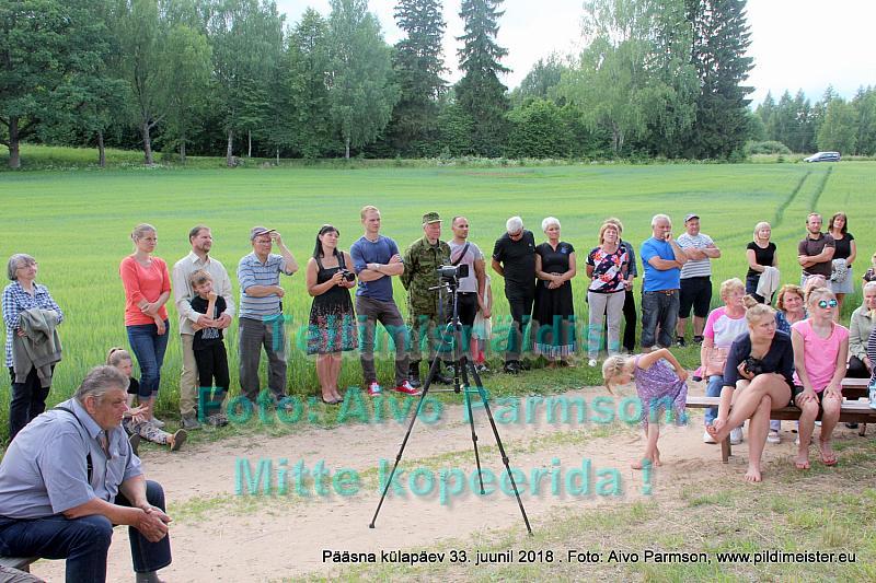 Pääsna 020