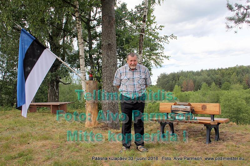 Pääsna 028