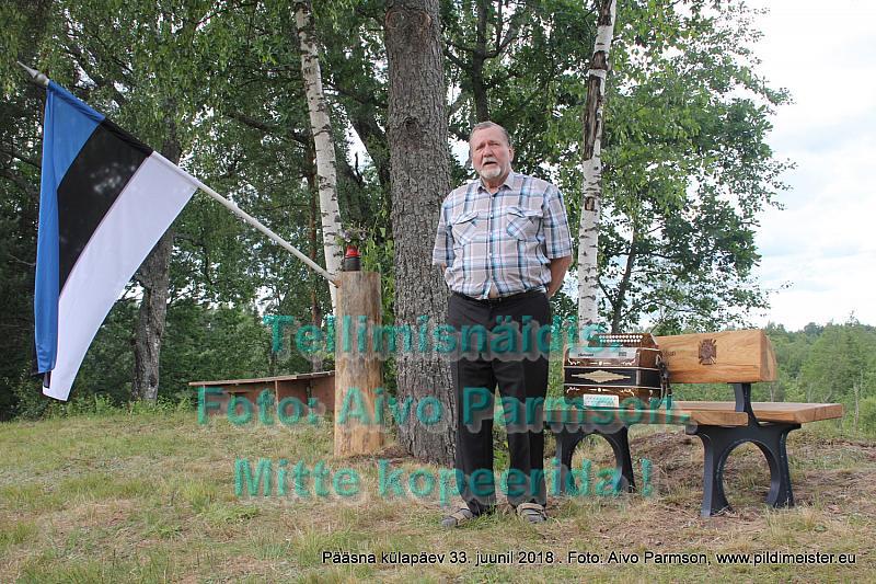 Pääsna 031