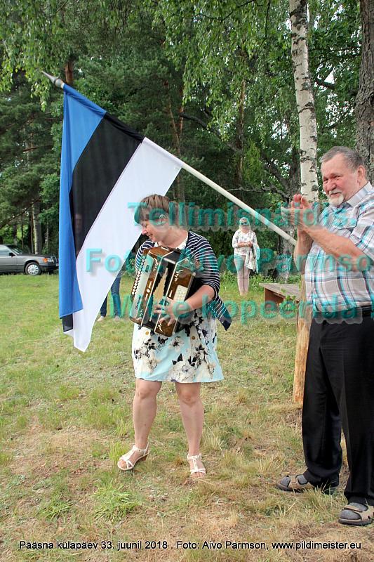 Pääsna 036