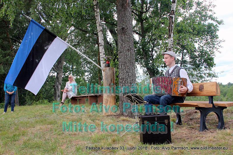 Pääsna 040
