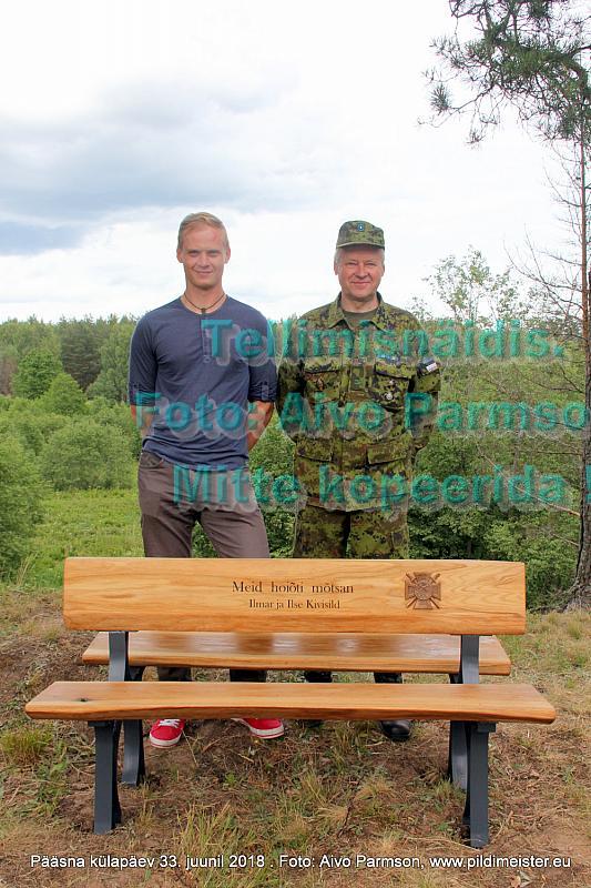 Pääsna 046