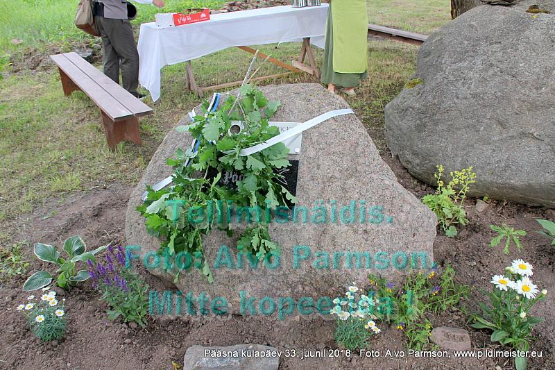 Pääsna 047