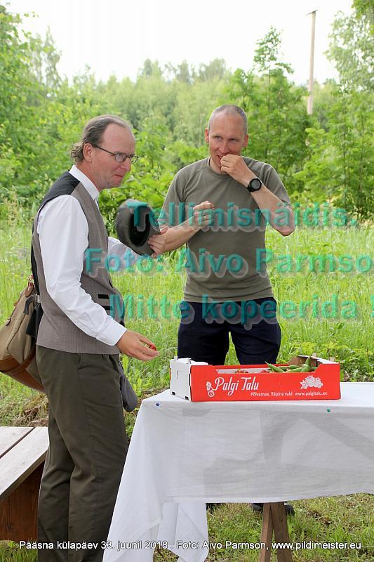Pääsna 048