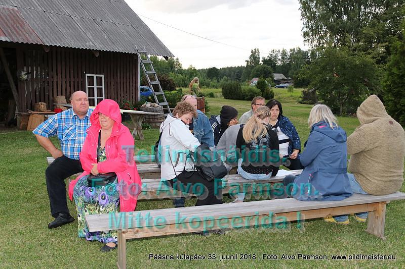 Pääsna 115