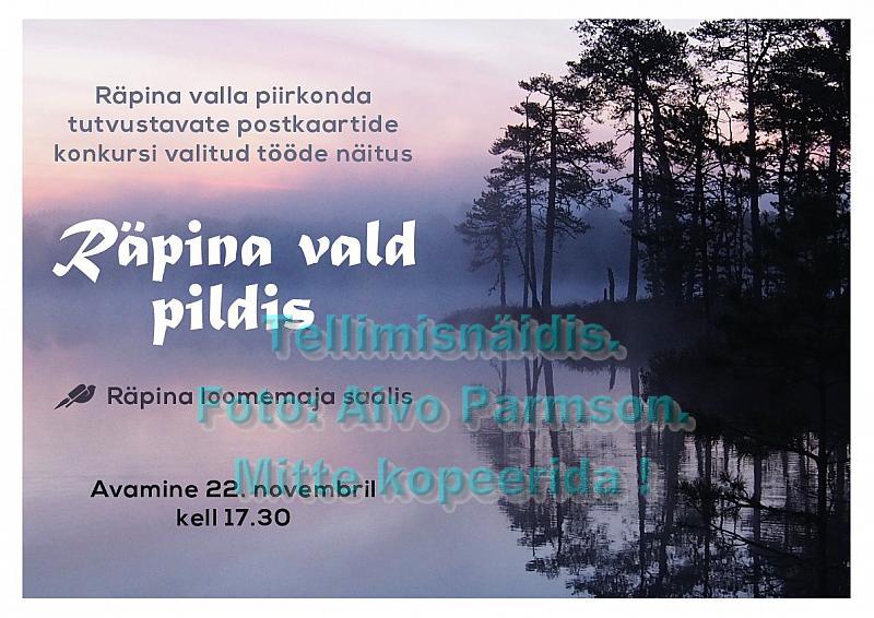 Avapilt