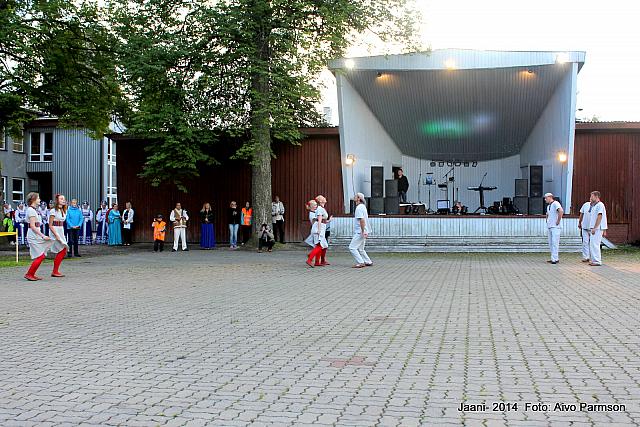 Võidujaani 217