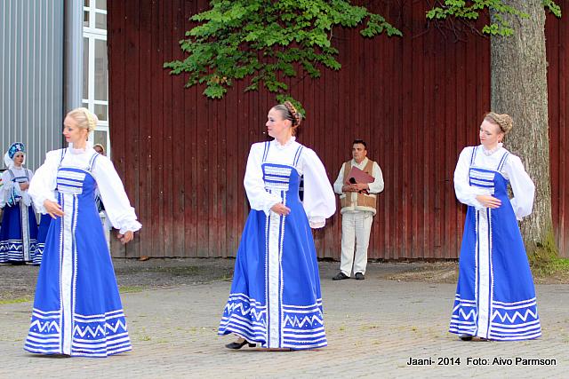 Võidujaani 254