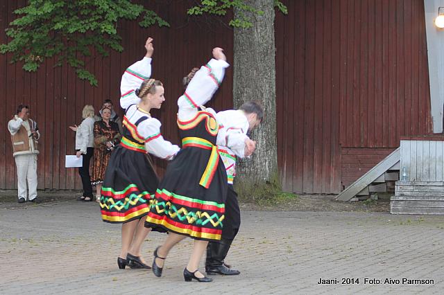 Võidujaani 289