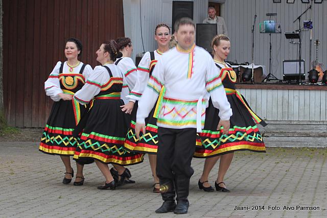 Võidujaani 291