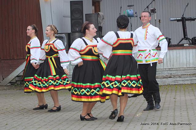 Võidujaani 293