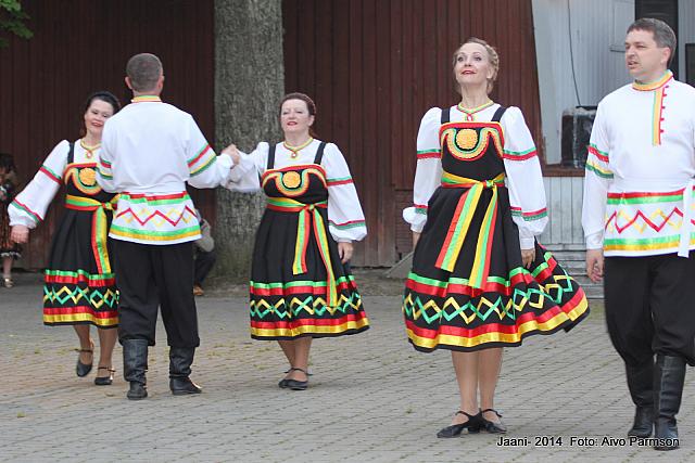 Võidujaani 295