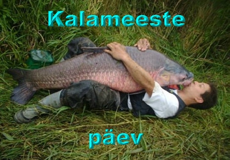 Kala ja mees