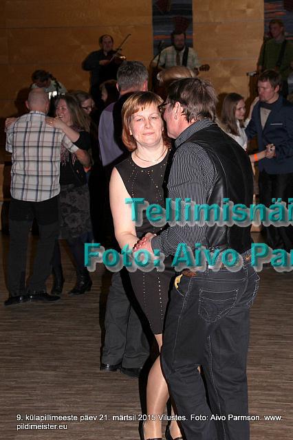 Pillimeeste 184