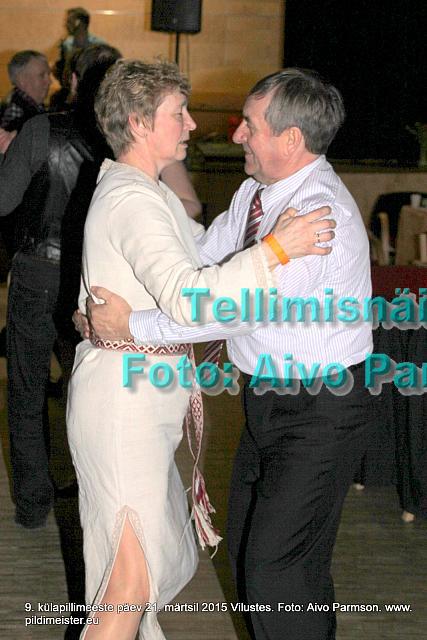 Pillimeeste 185