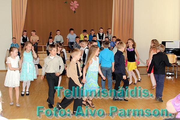 Kevad (17)