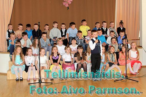 Kevad (5)