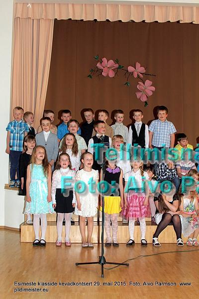 Kevad (54)