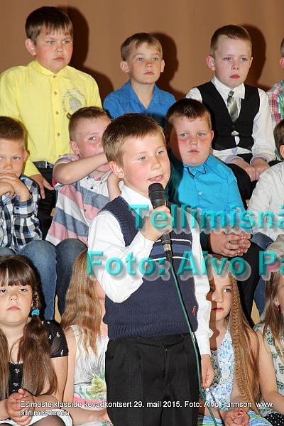 Kevad (6)