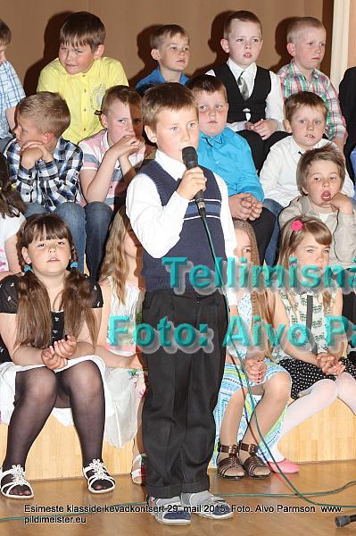 Kevad (7)